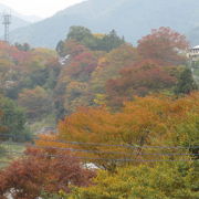 東京のふるさとで紅葉を楽しむ