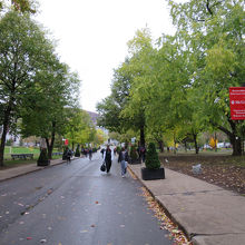 キャンパス内の様子です