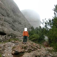 ごつごつした岩山です。