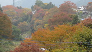東京のふるさとで紅葉を楽しむ