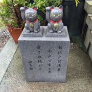 幸せの招き猫があるところ♪