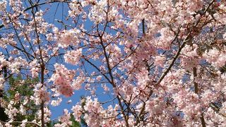 品海灯台の名残？　旧東海道沿いにある公園
