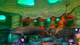 できることなら平日が狙い目　ディズニーシー