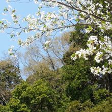 国道側の麓から庭園緑地を見上げる