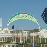 23区内で本格的なポニーの乗馬