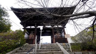 やはりここの四天王像と現存する東西の三重塔は素晴らしい