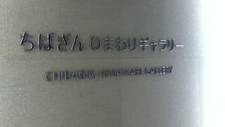 様々なアート作品が展示されている