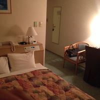 落ち着いた清潔な客室でした