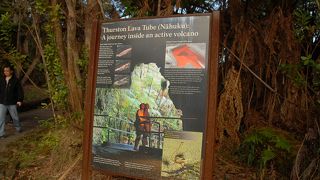 ジャングル探検