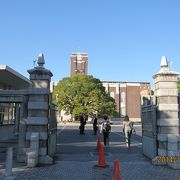京都大学といえば自由な校風！ノーベル賞受賞者をたくさん輩出しています。