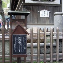 本館横に木の柵に囲われてます
