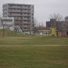 公園の景観