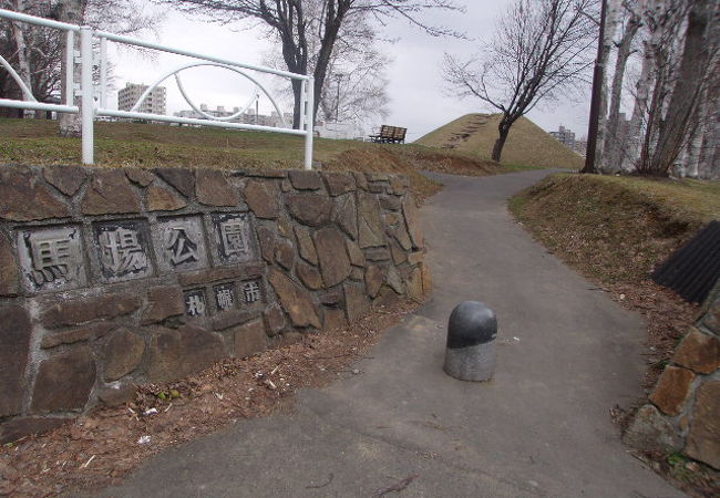 大きな滑り台がランドマークになっている公園です