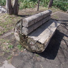 ポプラのベンチの様子