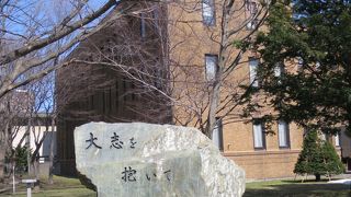 北海道大学の入口まもなく