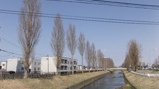 よく見るとポプラのベンチが…