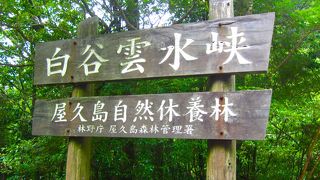 最高に気持ちがよいです