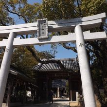 野口神社で撮影