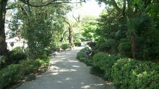 緑が多く散歩するのにいいところ