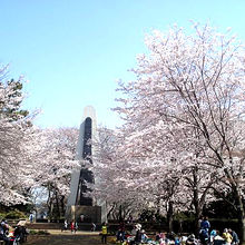 公園スペースでは花見（宴会）も可能