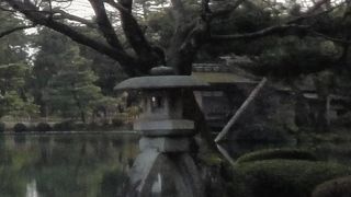 小さいながら存在感あり