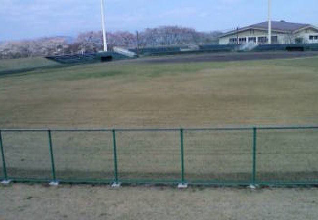 運動公園は市民の憩いの場所です！！