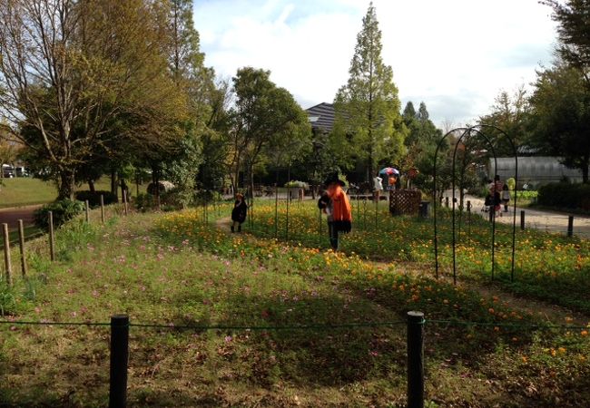 国営木曽三川公園 アクアワールド水郷パークセンター クチコミ アクセス 営業時間 安八 海津 フォートラベル