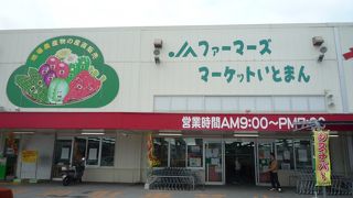 沖縄の新鮮野菜がいっぱいです。