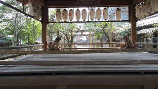 踏切の向こうの神様