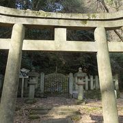 新羅善神堂の奥の山の中