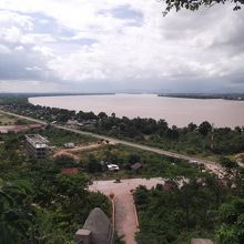 色鮮やかな緑に癒される