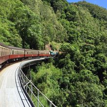 カーブに差し掛かるとキュランダ鉄道はこんな感じに見れます。