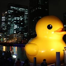 ラバーダック。