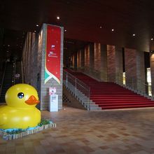 大階段とあひる。