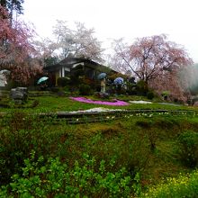 レストランの方向かと