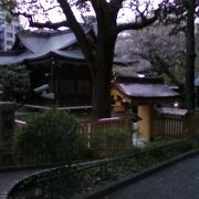 桜の時期はまさに東京の景勝地という感じです。