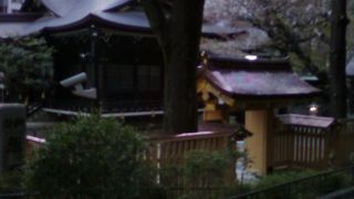 桜の時期はまさに東京の景勝地という感じです。