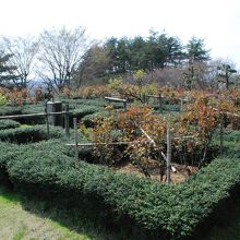 幾何学模様の庭園