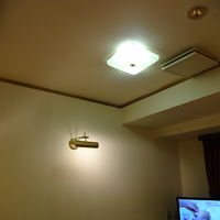珍しく、客室に明るいシーリングライト。これはいい