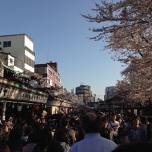 満開の桜の下、ごったがえす人波