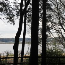 公園の奥からは手賀沼が見えます