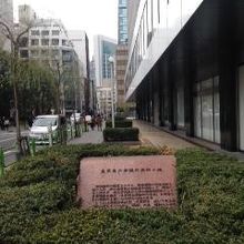 ビルの歩道植え込みにあります