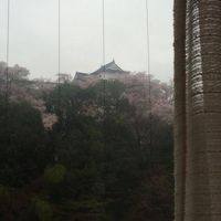 津山国際ホテル 写真