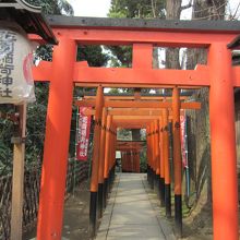 境内への入口は赤い鳥居が幾つも連なっています