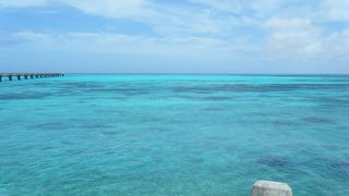 今は飛んでいません