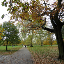 雨の日も、またしっとりしていて心が落ちつきます