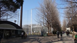 正岡子規にちなむ