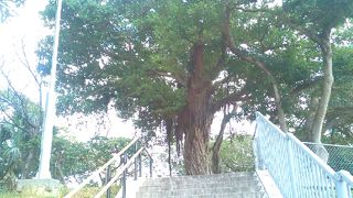 国際通り裏に見晴らしの良い公園が