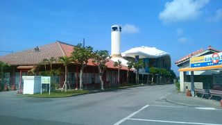 子供と一緒に楽しめる！