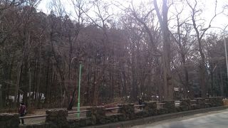 春先は少し寂しいです。、